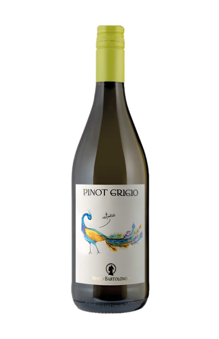 2023 Pinot Grigio "Naturae"